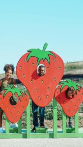 School Year Trips and Tips